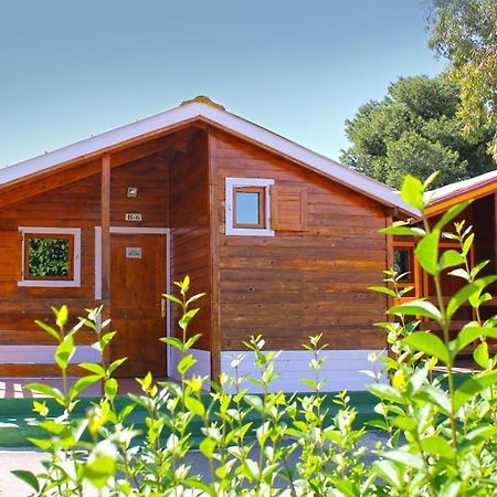 Bungalows Camping El Cid Peñíscola المظهر الخارجي الصورة